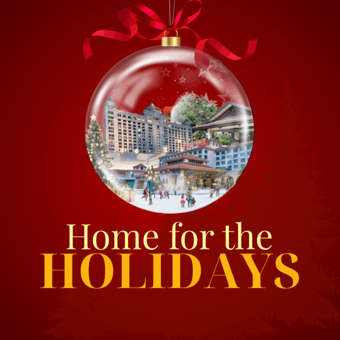 Home for the Holidays - Website Landing Photo